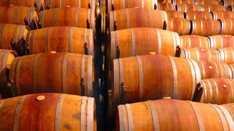 Cantina Italia: le scorte al 28 febbraio 2022