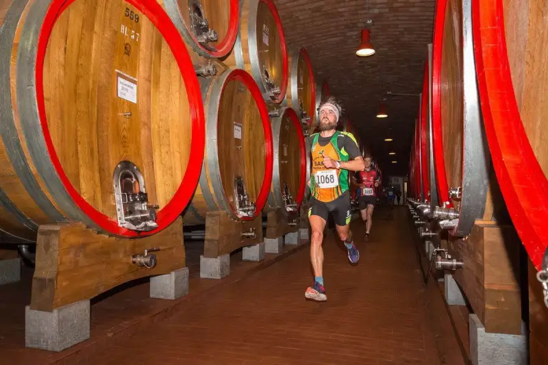 Una corsa tra i vigneti e i filari della Valtellina