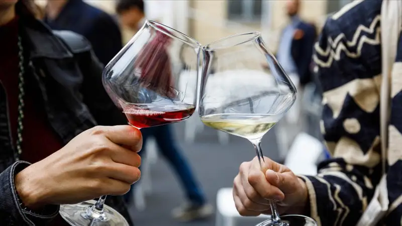 Sondaggio Swg: vino sempre pi&ugrave; amato dalla generazione Z che per&ograve; chiede pi&ugrave; informazioni