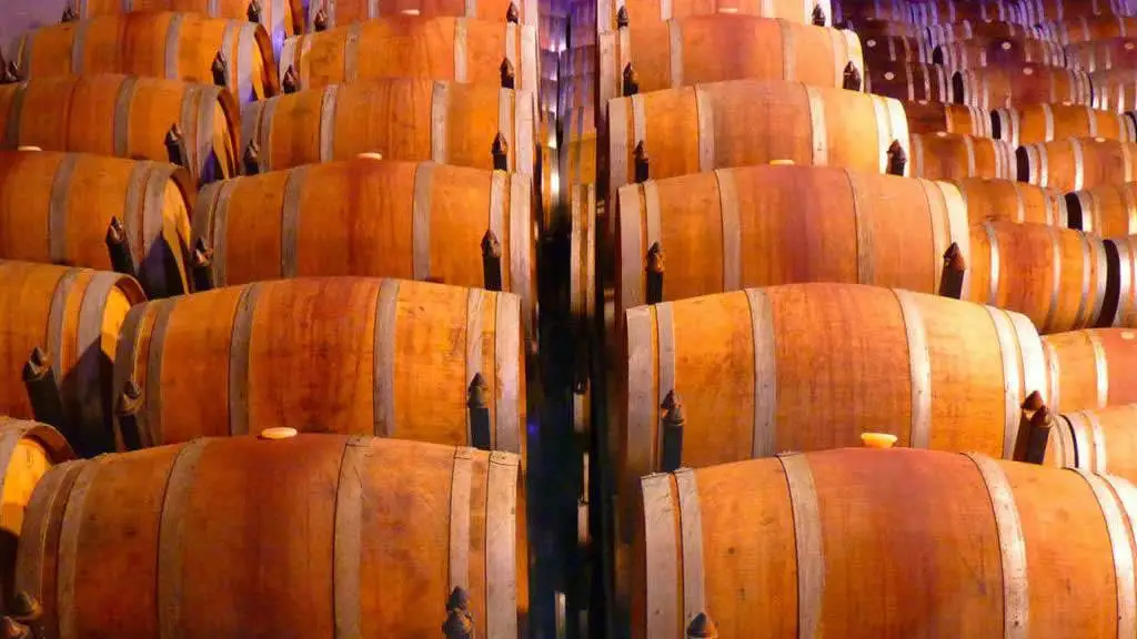 Cantina Italia, 48,7 milioni di ettolitri in giacenza, in calo del 1,7%