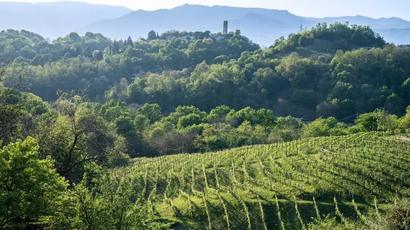 Asolo Prosecco, +33,4% nei primi quattro mesi del 2022