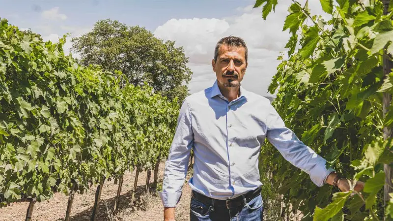 Amarone, le Famiglie Storiche eleggono il nuovo presidente