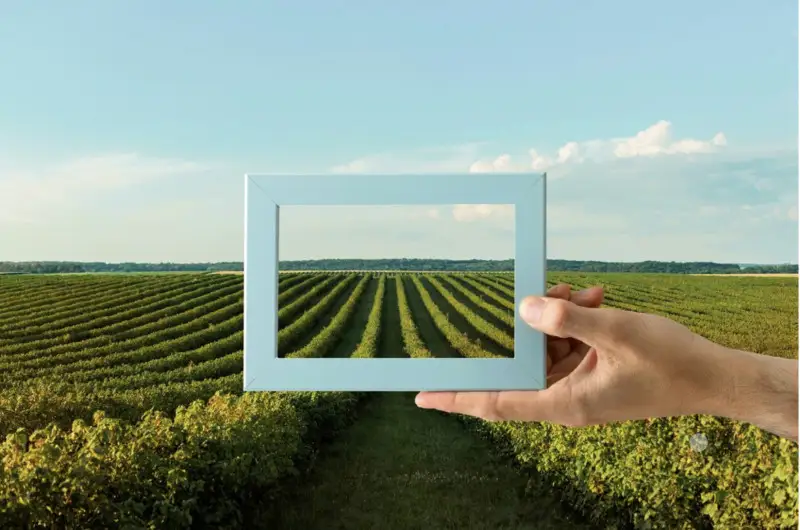 Avviate le procedure di pagamento degli anticipi Pac