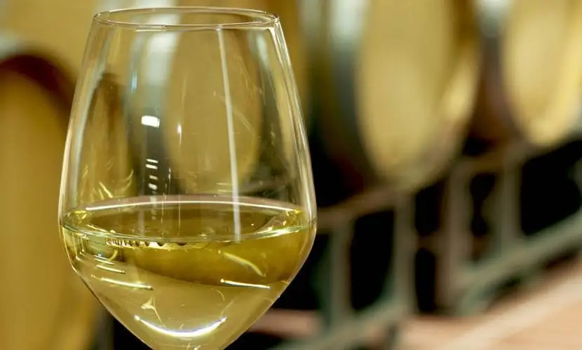 Doc Gambellara: al via progetto triennale per la viticoltura sostenibile