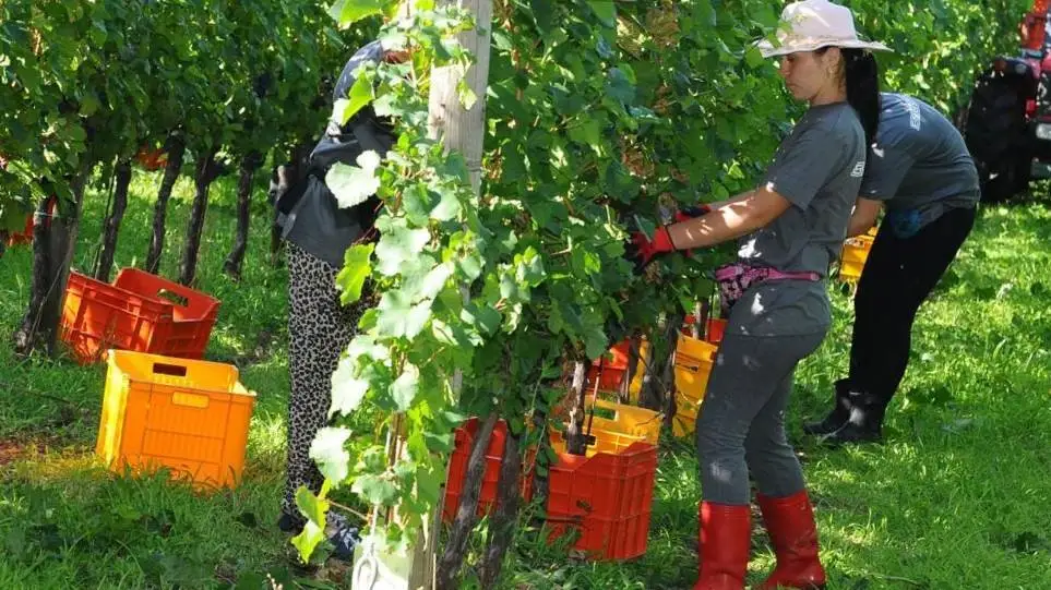 Sì della Camera al ritorno dei voucher