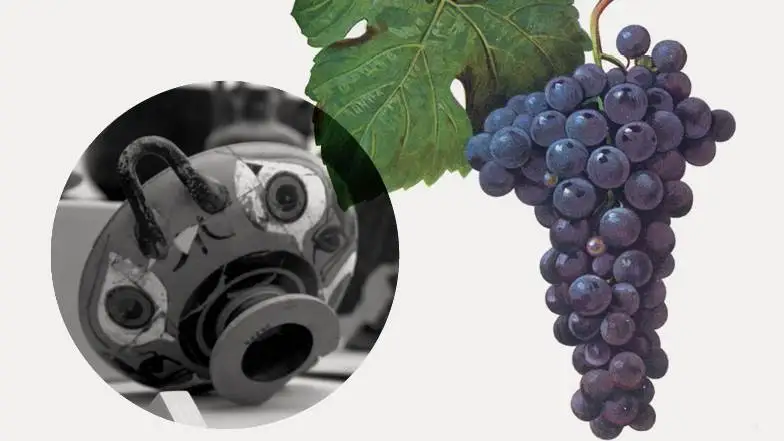 &Egrave; online il nuovo Geoportale della Cultura Alimentare