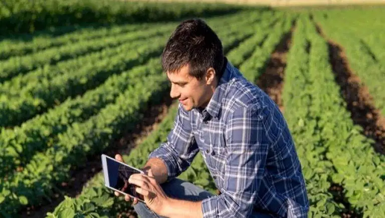 Aziende agricole degli under 40: pi&ugrave; redditive, tecnologiche e sostenibili