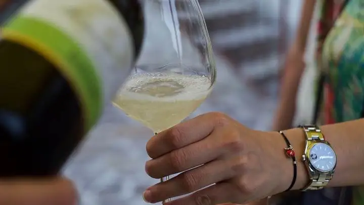 Canelli Dop, confermata la registrazione in Gazzetta europea