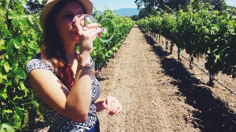 Consorzio Tutela Vini Doc delle Venezie: Flavio Innocenzi &egrave; il nuovo direttore