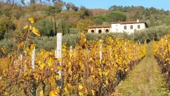 Ismea, provvedimenti straordinari per le imprese agricole e agroalimentari