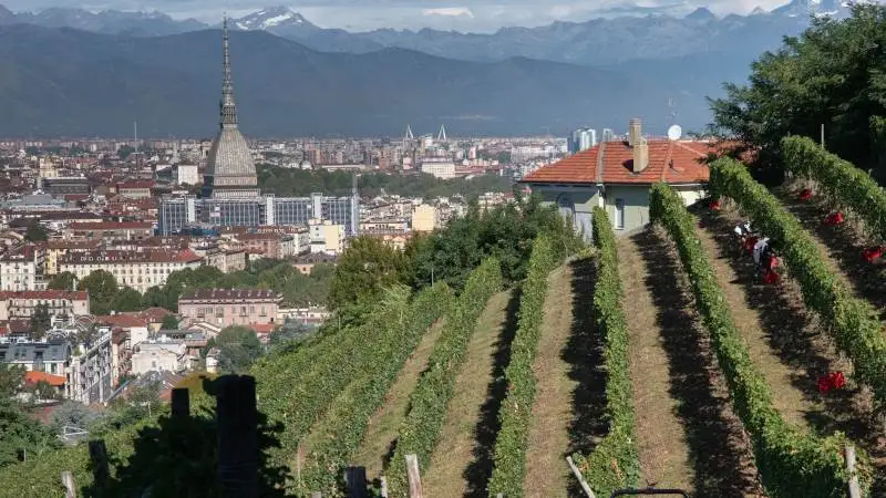 Le Vigne Urbane protagoniste a Expo Dubai