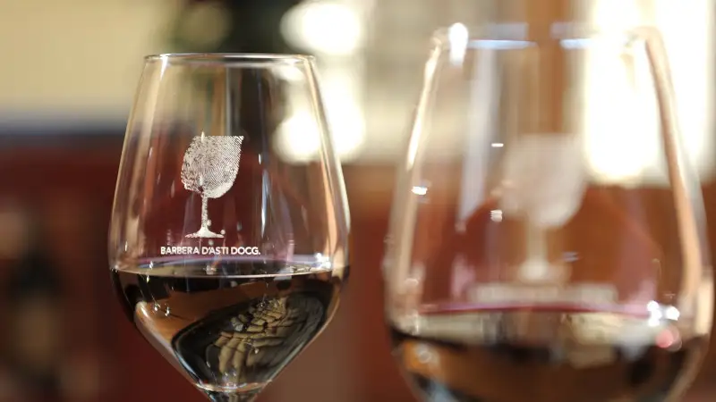 Barbera, recupero dell&rsquo;antico germoplasma per ceppi pi&ugrave; resistenti