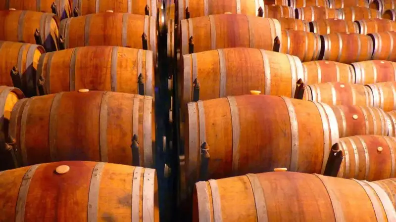 Cantine Aperte 2021 e Vigneti Aperti, doppio appuntamento per i winelovers