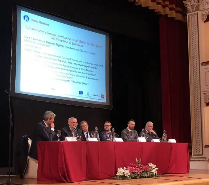 Il Morellino di Scansano lancia l'allarme: i cambiamenti climatici mutano la fenologia dell'uva. Ecco qualche rimedio