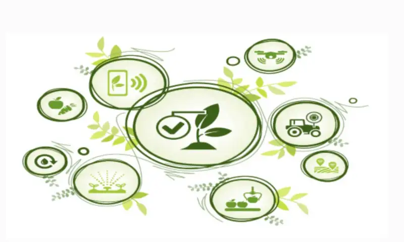 Cos&igrave; l&rsquo;agrometereologia pu&ograve; prevenire i danni sulle produzioni agricole