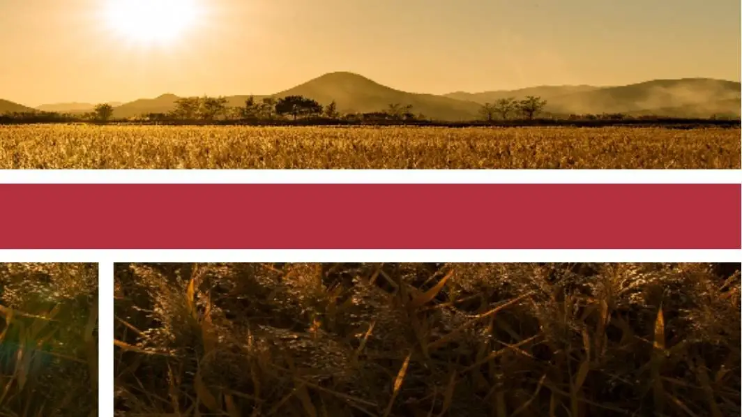 Il turismo enogastronomico post-Covid: Sicilia ed Emilia Romagna le mete pi&ugrave; ambite