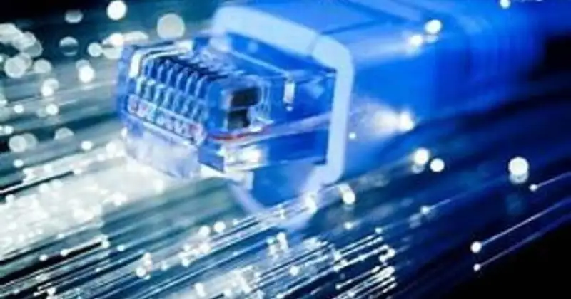 Accordo Tim e Federvini per favorire l'innovazione nel settore vinicolo