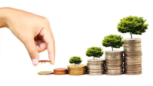 Fondo Investimenti imprese agricole: chiarimenti sulle domande