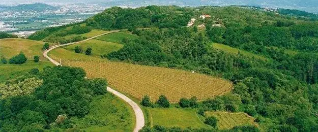 Elvio Forato nuovo presidente Vini Doc Breganze