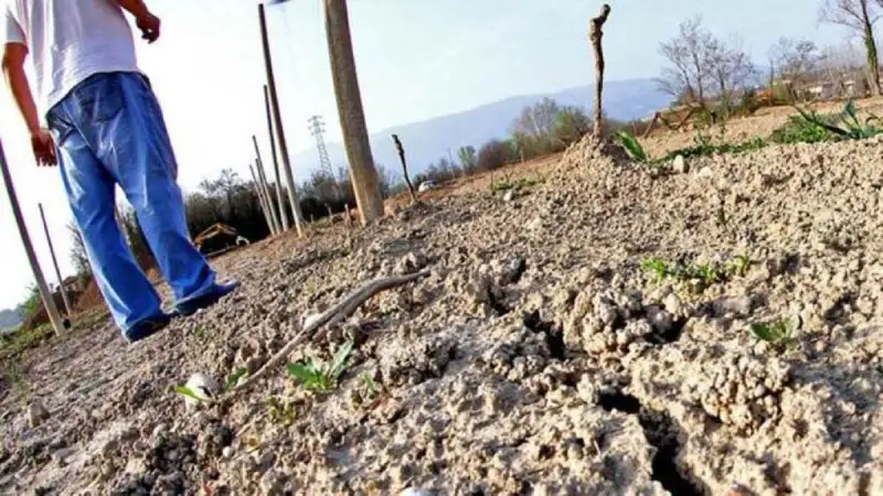 Siccit&agrave;: il Mipaaft chiede alla Ue via libera per anticipo Pac