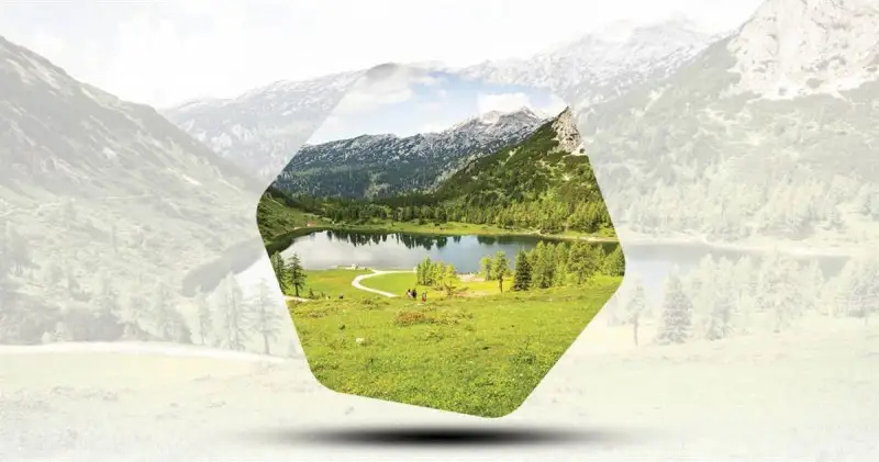 Crea, parte il progetto OenoMed per la promozione della viticoltura delle aree protette