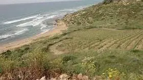 Approvate le modifiche al disciplinare di produzione dei vini a DOC Menfi