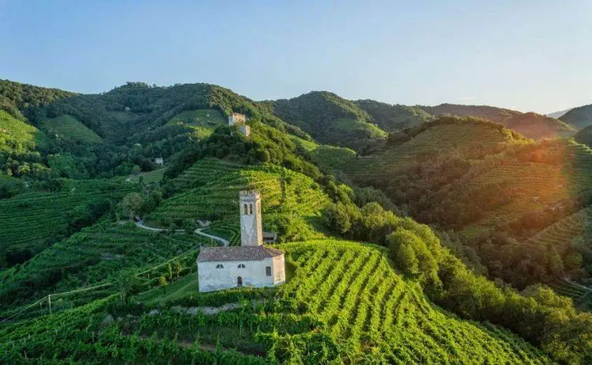 Unesco, doccia fredda per le colline di Conegliano-Valdobbiadene