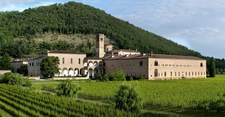 DOCG Wine Experience