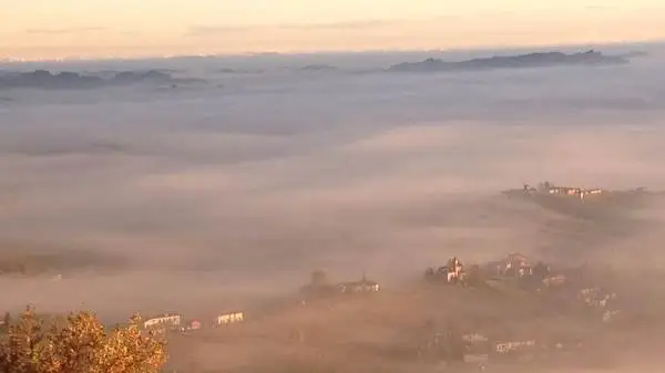 Barolo & Barbaresco World Opening