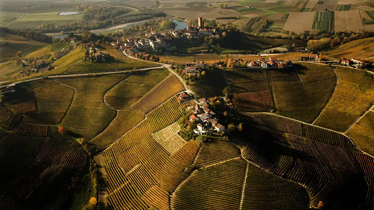 Happy 5th Unesco Birthday!