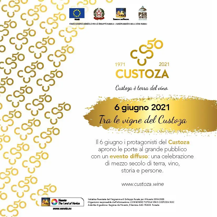 Tra le vigne del Custoza