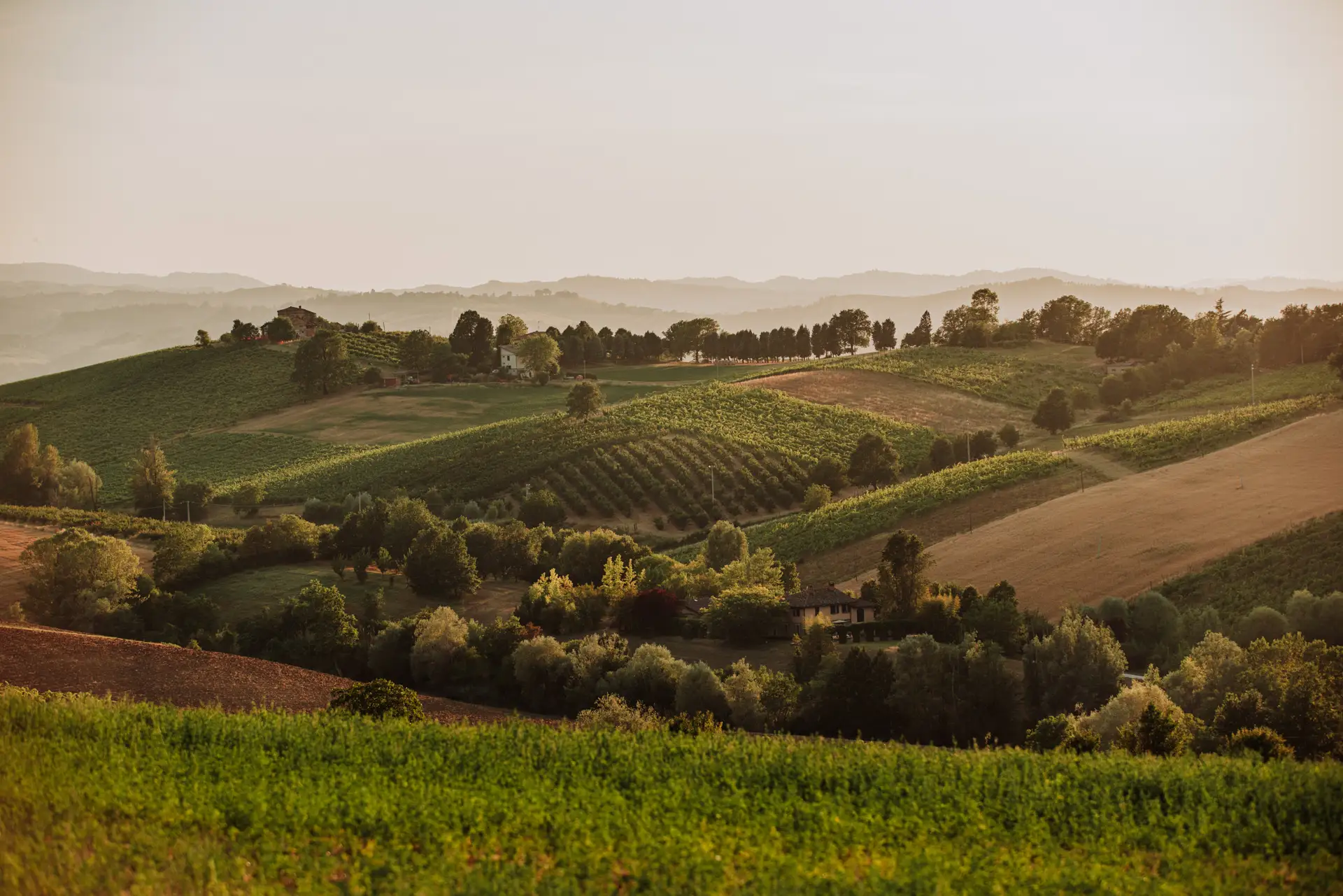 &ldquo;Terra Emilia&rdquo; - Road Show