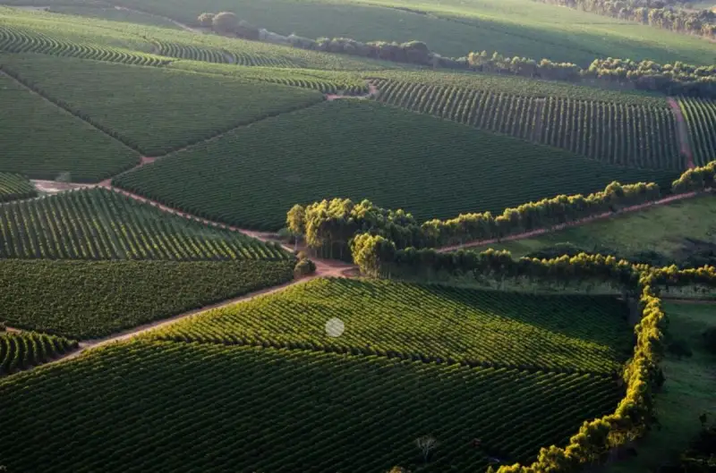 &ldquo;Generazione Terra&rdquo;, dal 30 ottobre le domande di finanziamento a Ismea