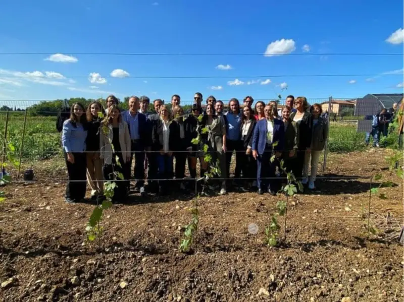 In Italia il primo vigneto sperimentale europeo con le Tea