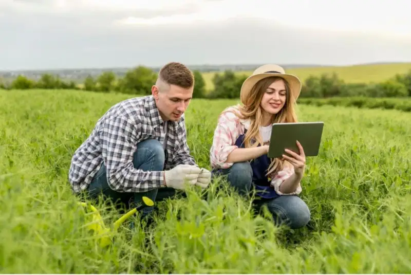Ue, nuove regole per la  &ldquo;rete di dati&rdquo; sulla sostenibilit&agrave; agricola