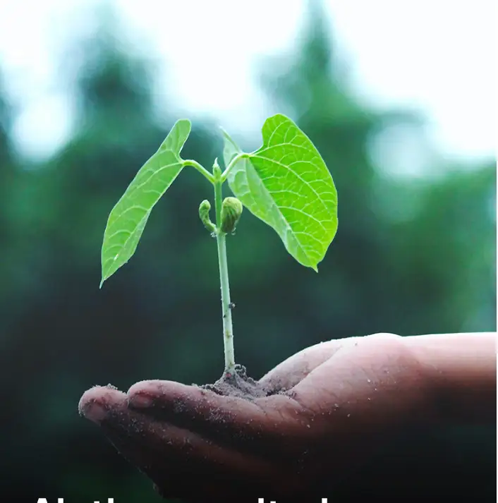 Agea, erogati anticipi Pac per oltre 1 miliardo di euro