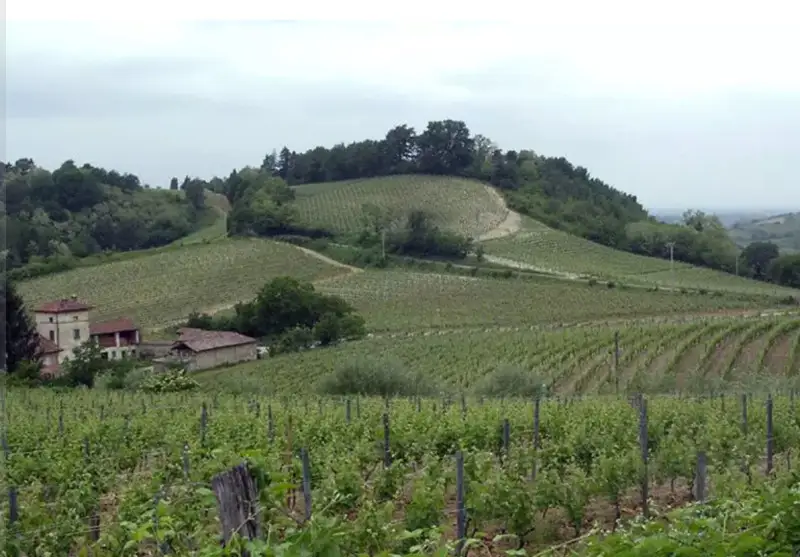 Vigne della Dora Baltea Canavesana nel registro Paesaggio rurale