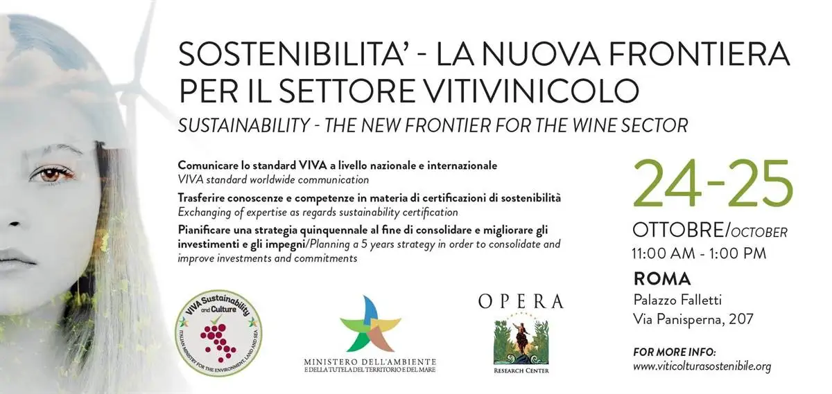 International conference VIVA std def