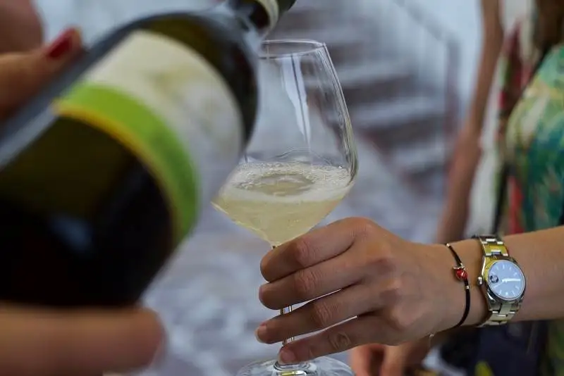 Il Canelli e i colori del vino