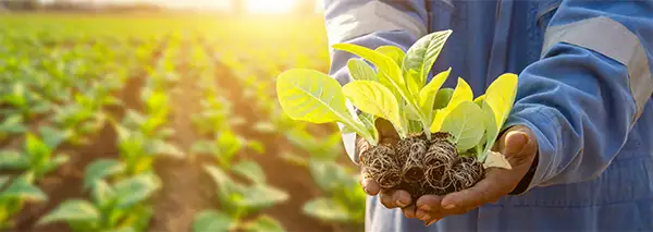 Nuova Pac e possibili impatti sull&rsquo;agricoltura italiana