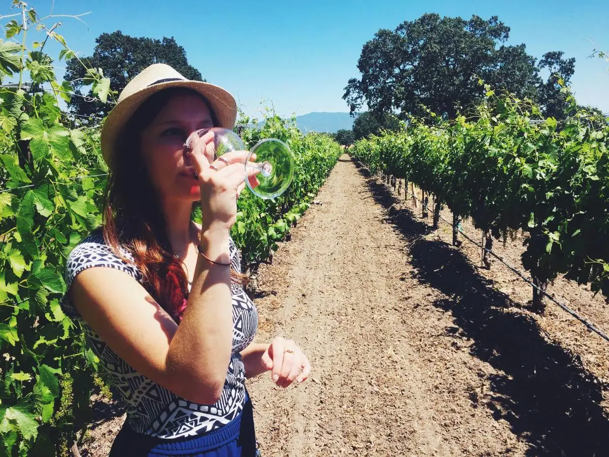 Partecipare alla vendemmia .jpg