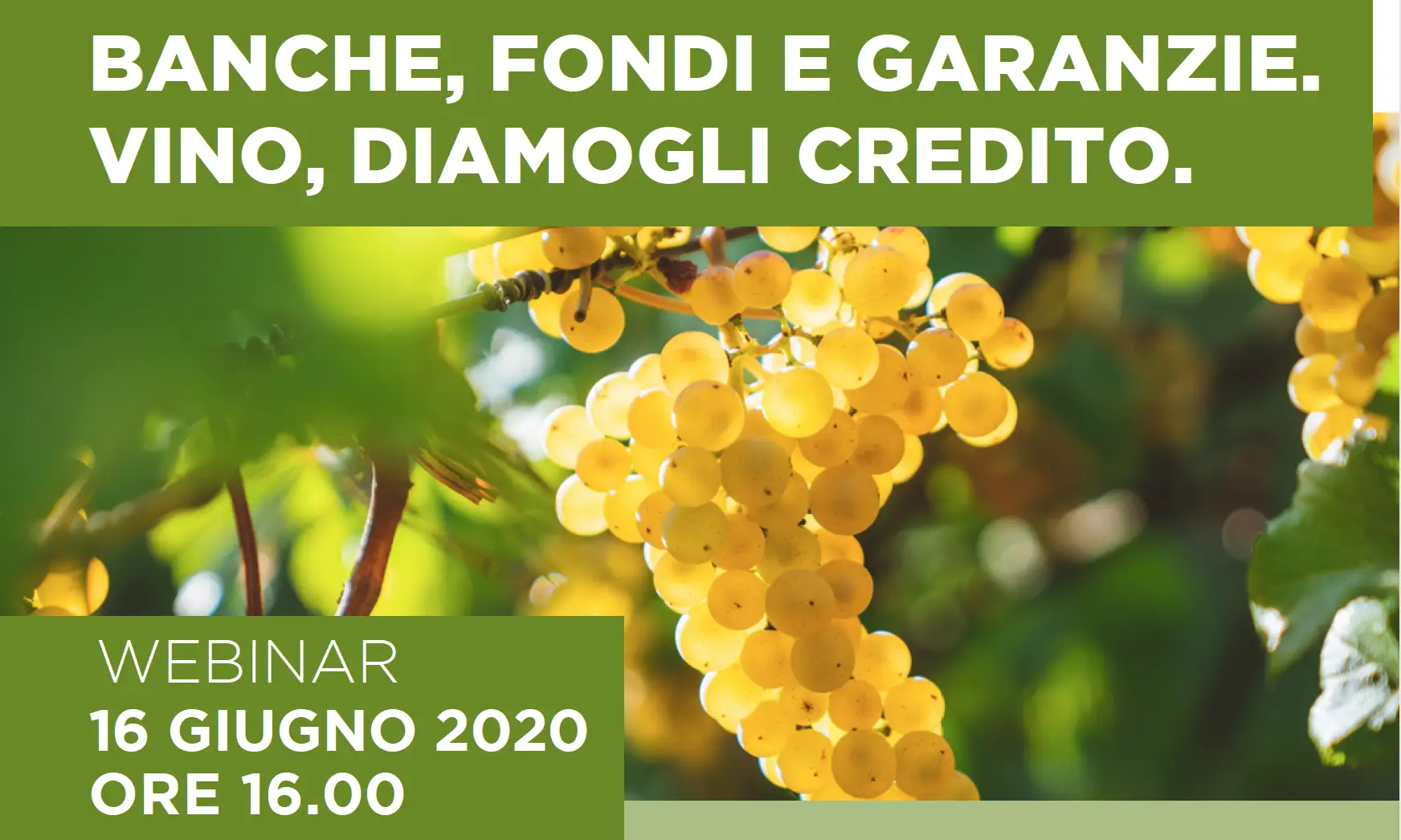 Banche, fondi e garanzie. Vino, diamogli credito