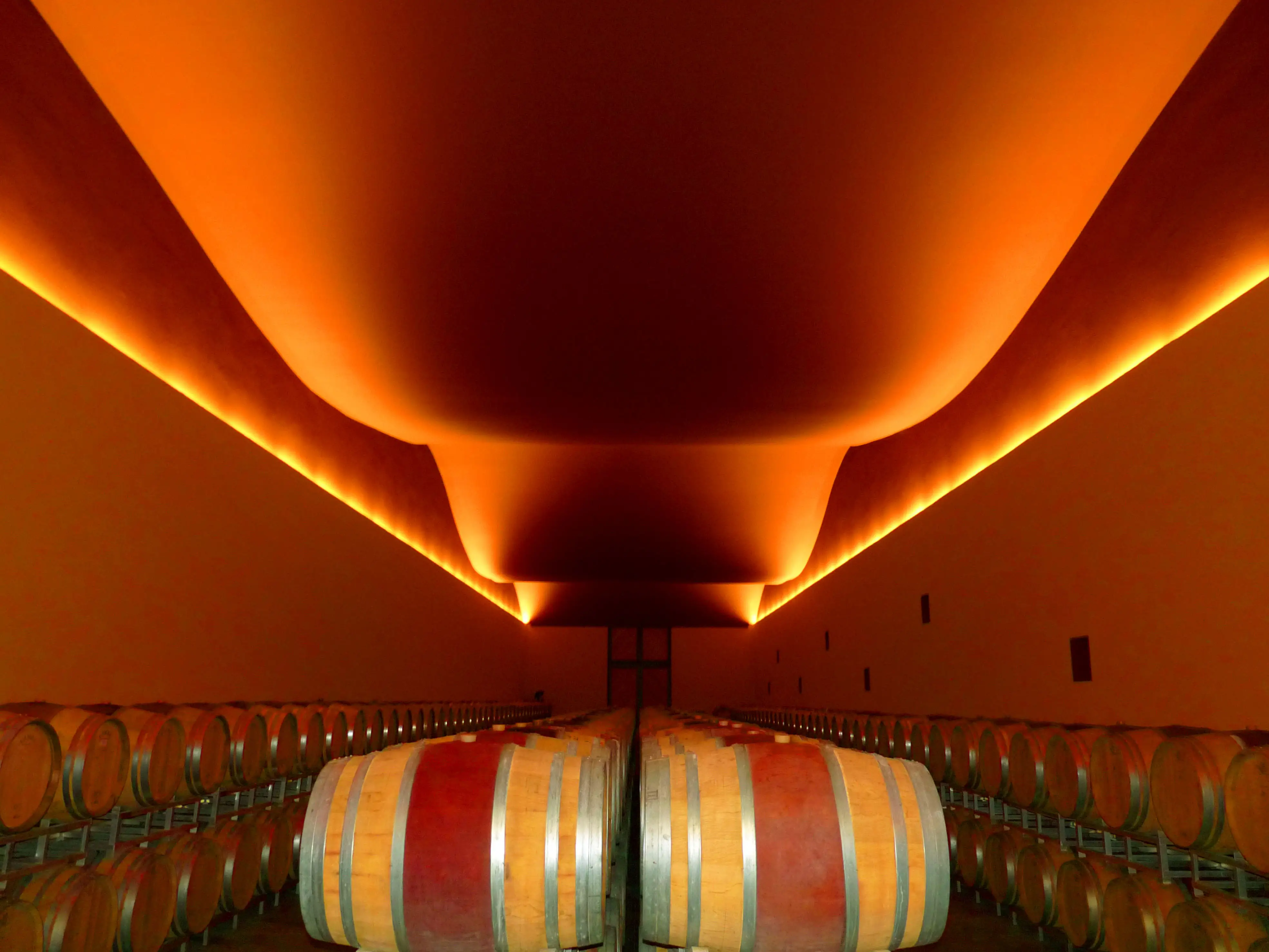 Architetto in cantina