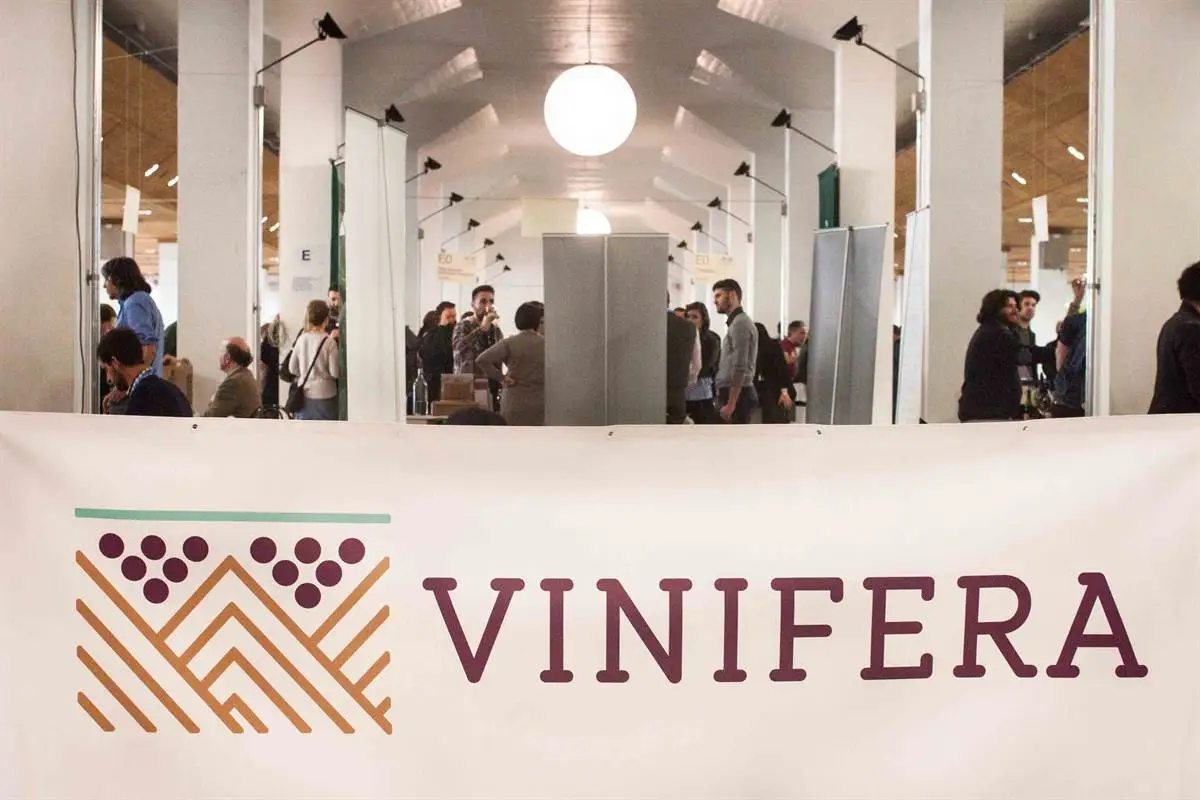 Vinifera 2018