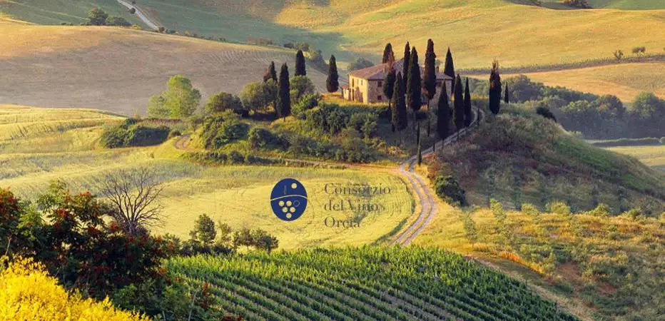 La Via Francigena in terra d'Orcia