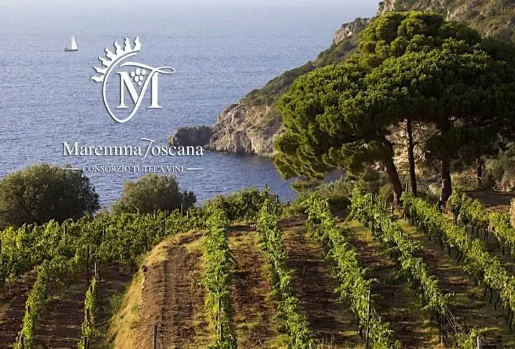 Doc Maremma Toscana: nuovi investimenti in produzione