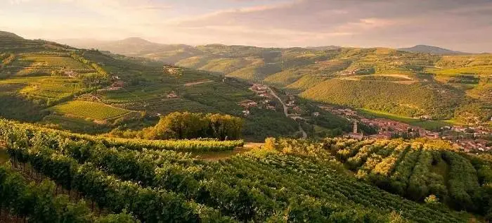 Due aree vitivinicole tra i 5 nuovi siti "Paesaggio rurale storico"