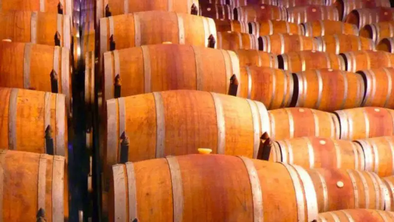 La nuova era dei Musei del Vino: percorsi immersivi, gaming e hub enogastronomici