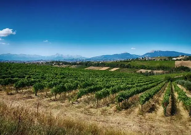 Centinaio: ribadite al commissario Hogan le nostre preoccupazioni sulla Pac