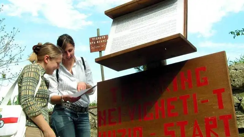 Sempre pi&ugrave; &ldquo;verde&rdquo; e con le donne al timone: l'enoturismo riprende slancio